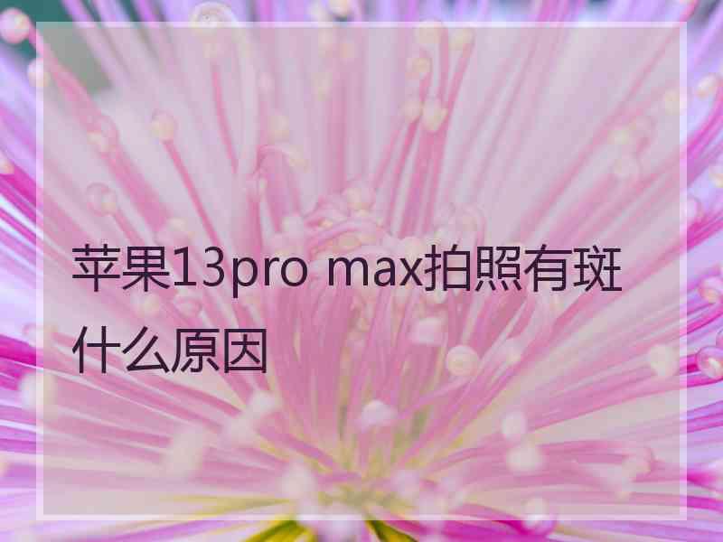 苹果13pro max拍照有斑什么原因