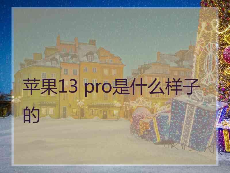 苹果13 pro是什么样子的