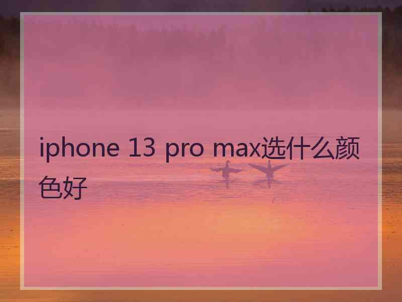 iphone 13 pro max选什么颜色好