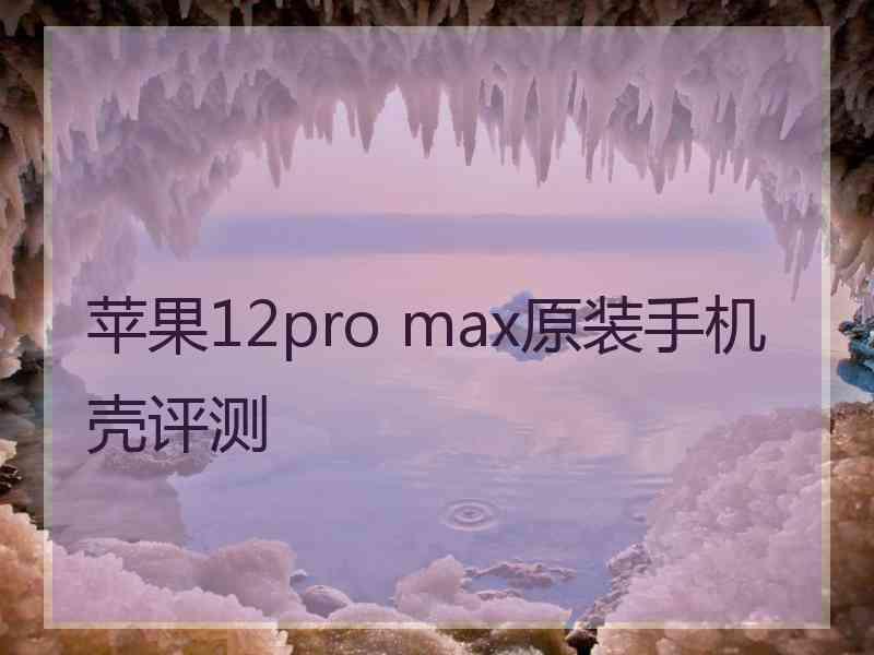 苹果12pro max原装手机壳评测