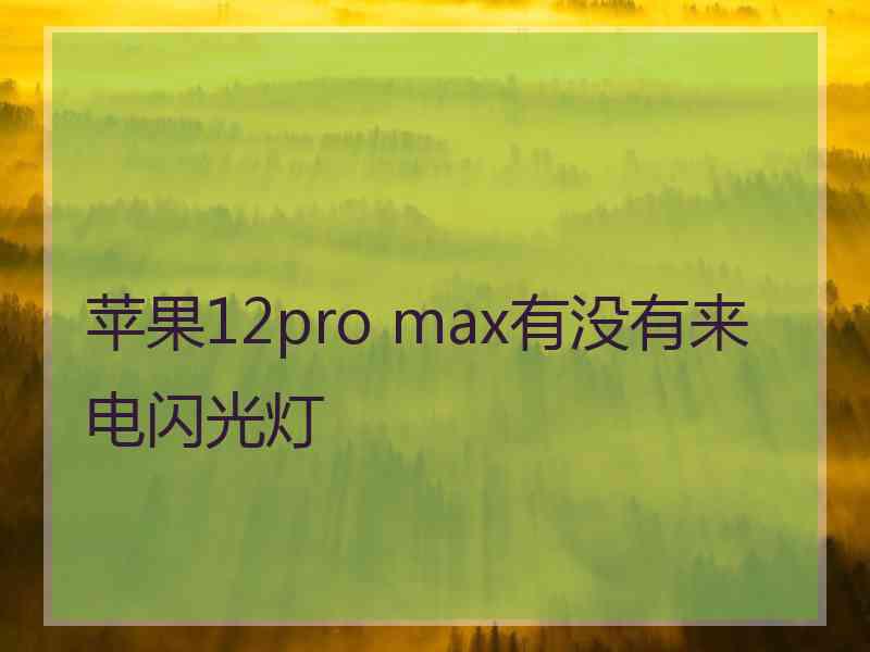 苹果12pro max有没有来电闪光灯