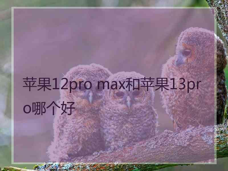 苹果12pro max和苹果13pro哪个好