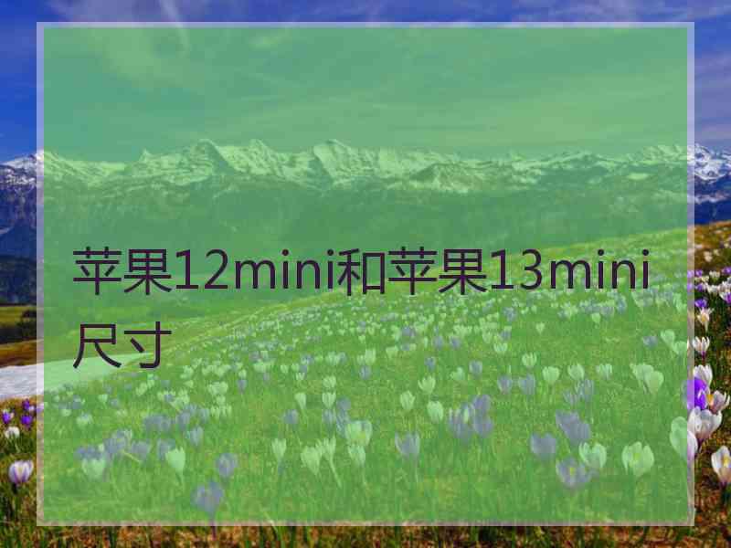 苹果12mini和苹果13mini尺寸