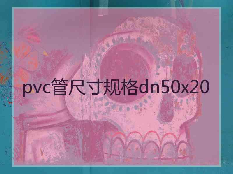 pvc管尺寸规格dn50x20