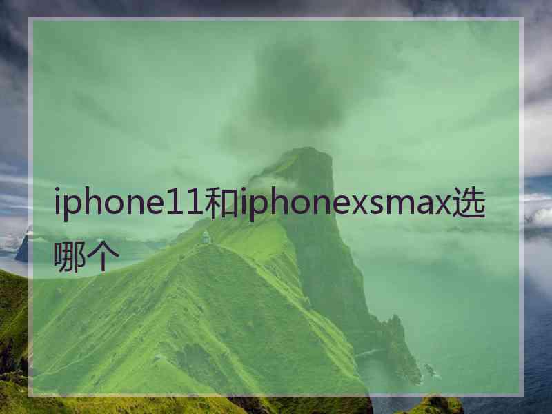 iphone11和iphonexsmax选哪个