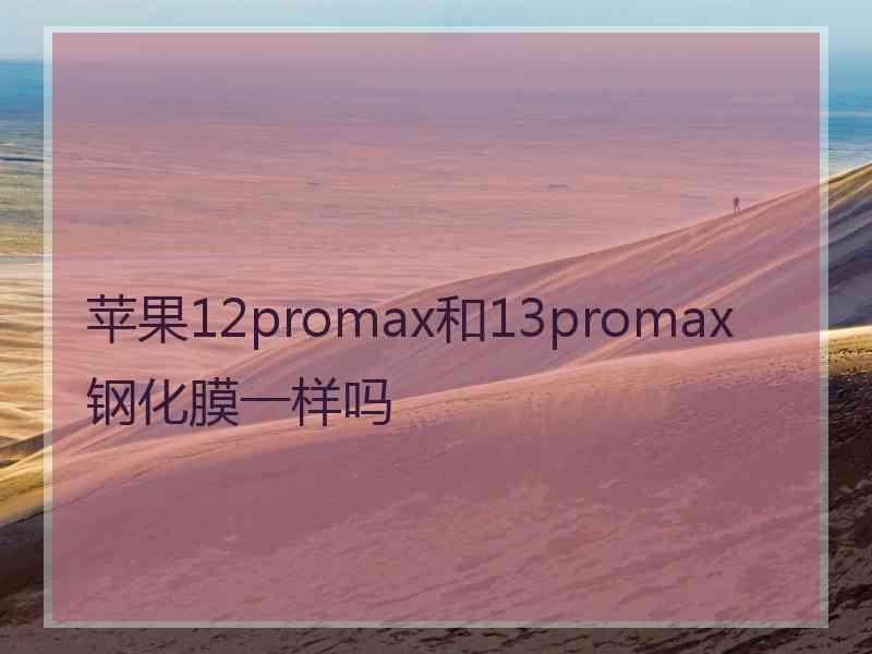 苹果12promax和13promax钢化膜一样吗