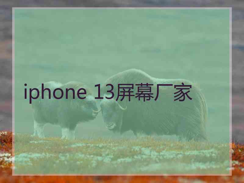 iphone 13屏幕厂家