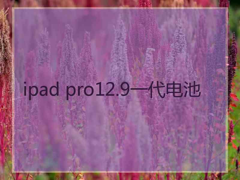 ipad pro12.9一代电池