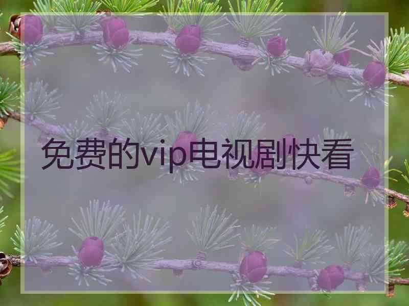 免费的vip电视剧快看