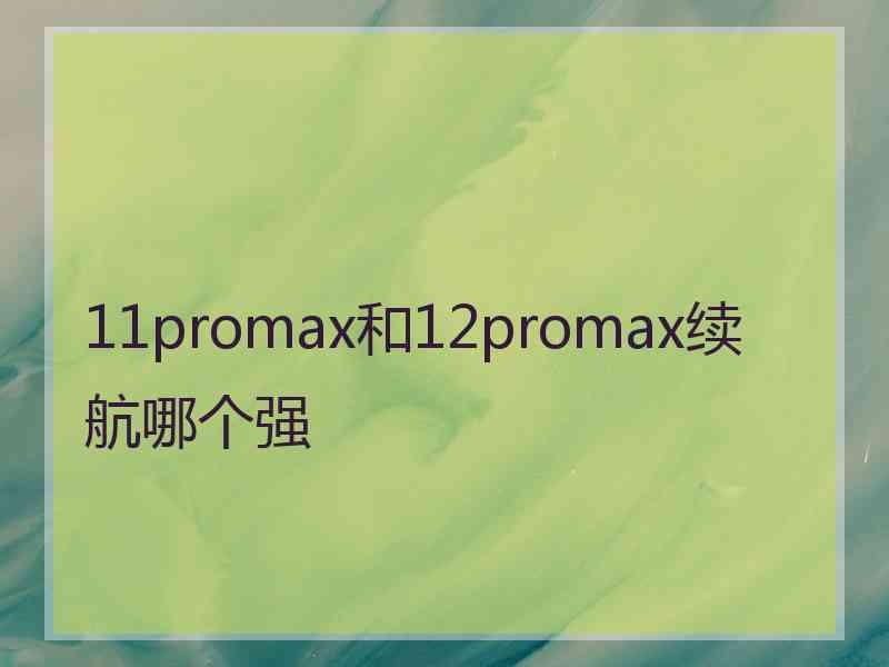 11promax和12promax续航哪个强