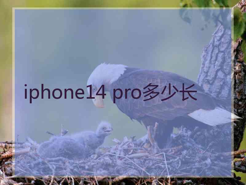 iphone14 pro多少长