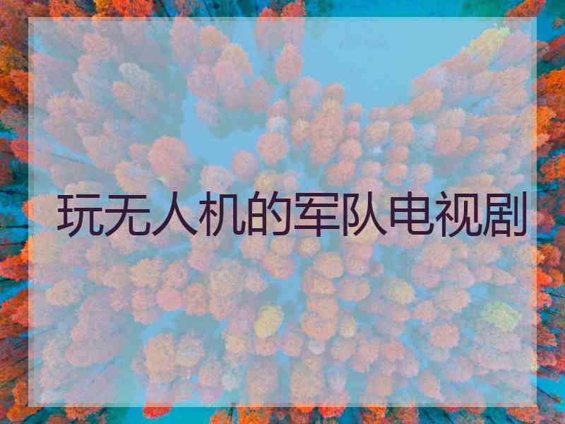 玩无人机的军队电视剧