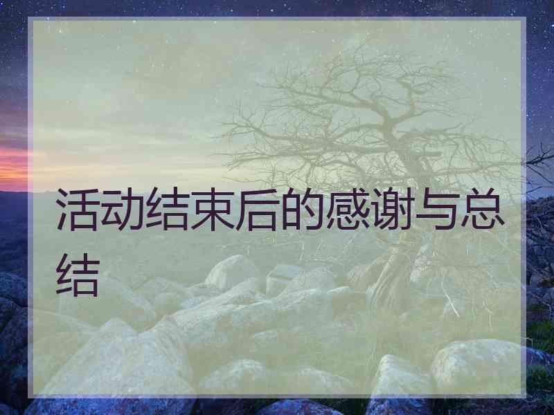 活动结束后的感谢与总结