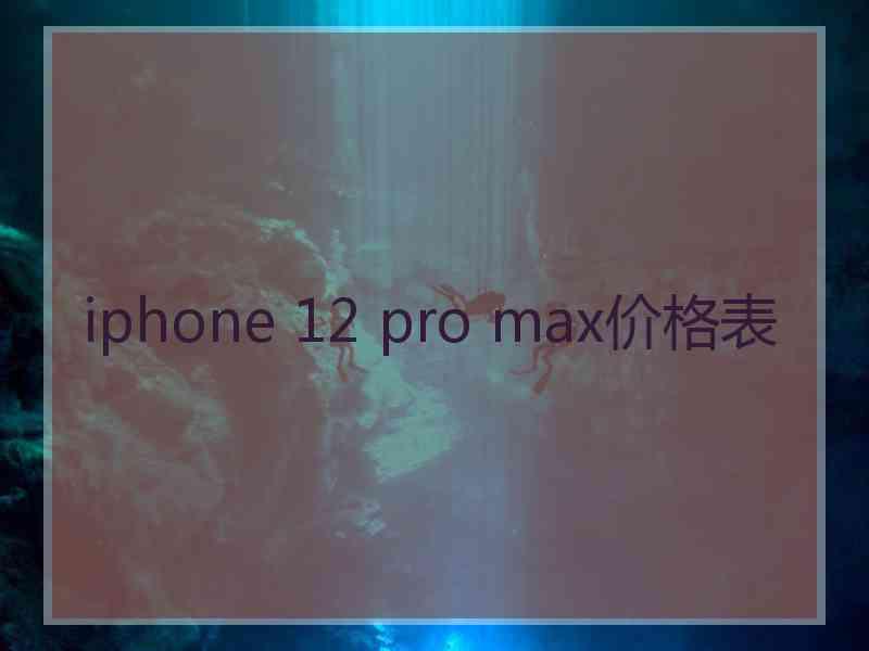 iphone 12 pro max价格表