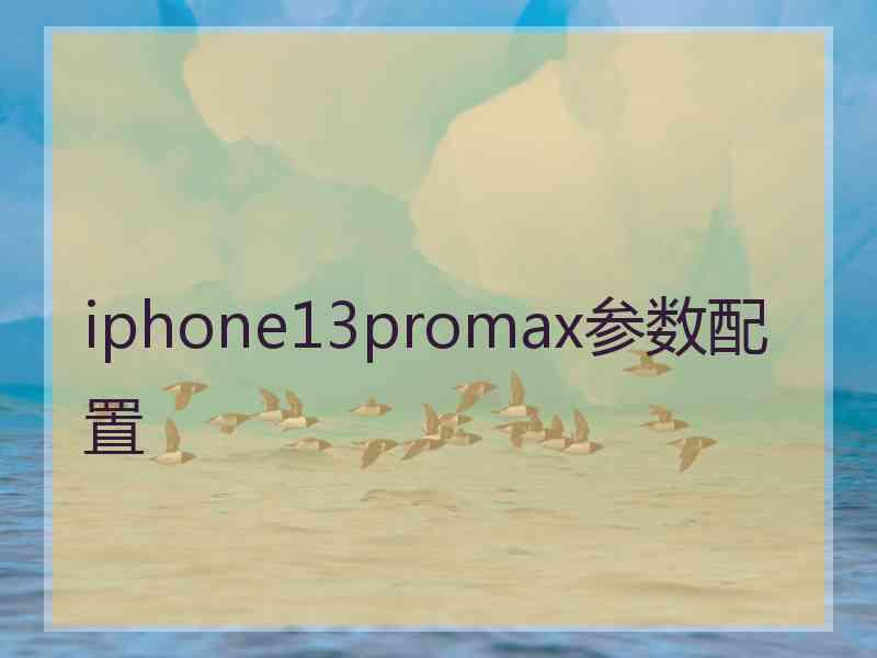 iphone13promax参数配置