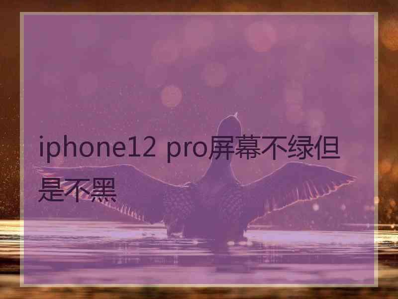 iphone12 pro屏幕不绿但是不黑