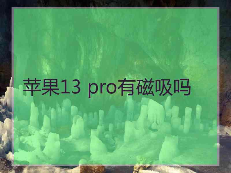 苹果13 pro有磁吸吗