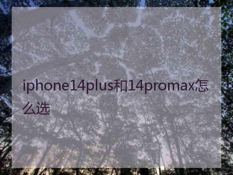 iphone14plus和14promax怎么选