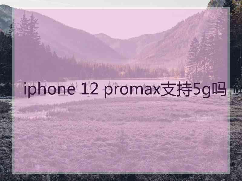 iphone 12 promax支持5g吗