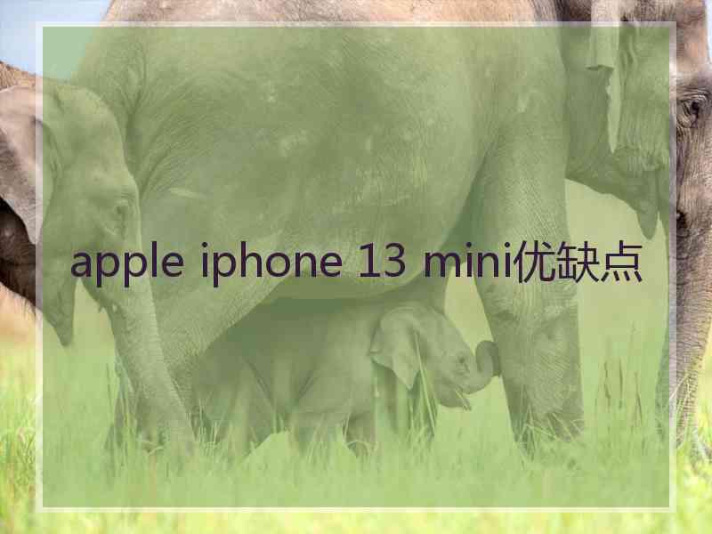 apple iphone 13 mini优缺点