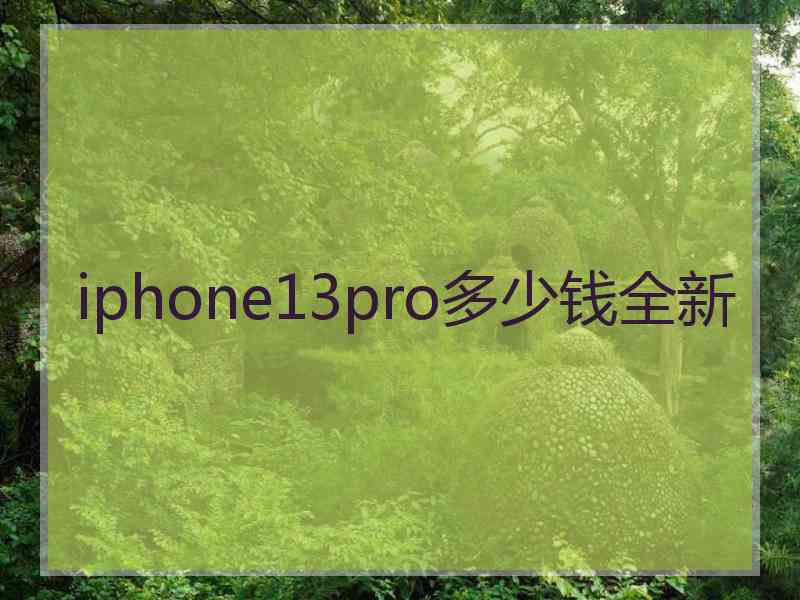 iphone13pro多少钱全新