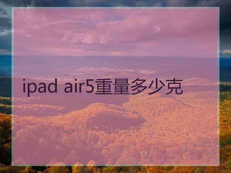 ipad air5重量多少克