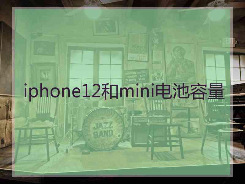 iphone12和mini电池容量