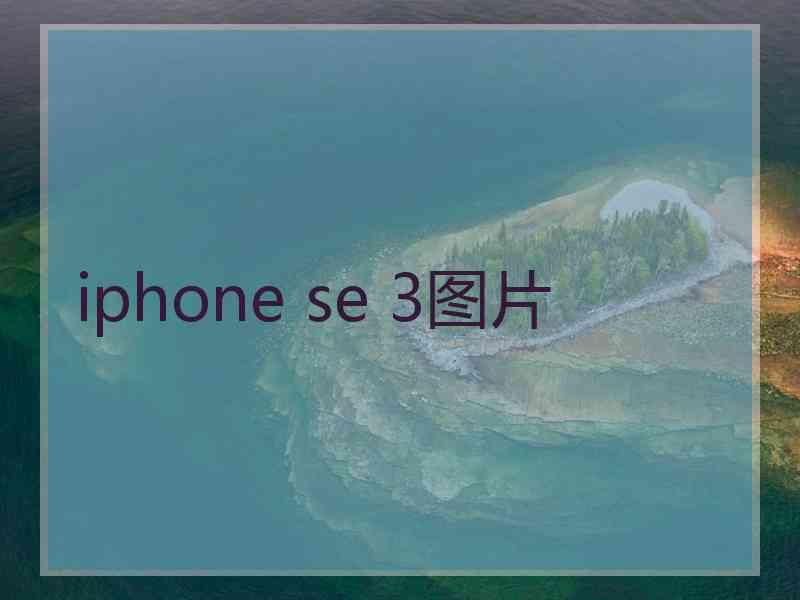 iphone se 3图片