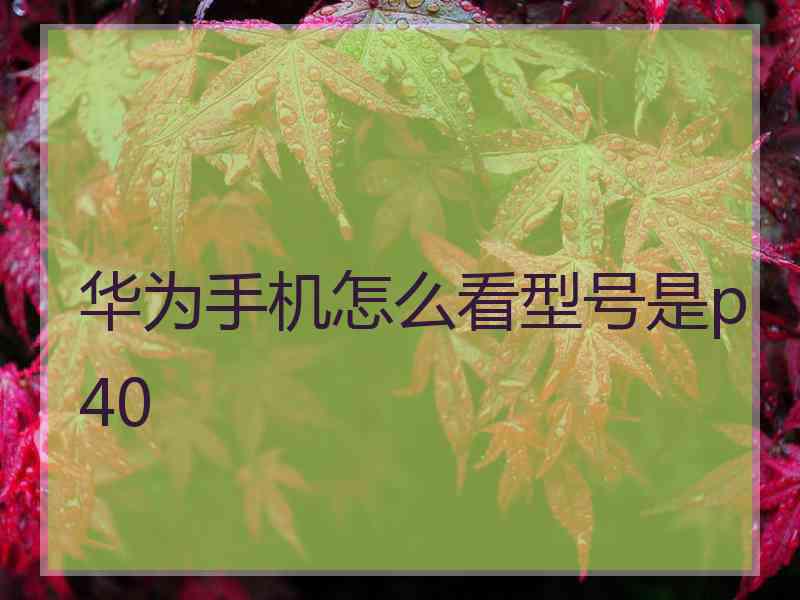 华为手机怎么看型号是p40