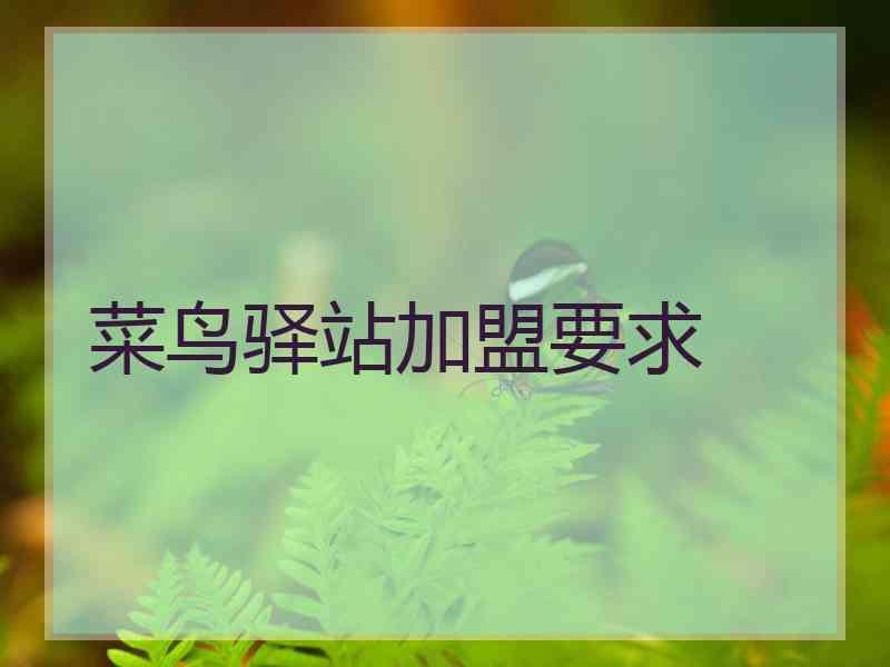 菜鸟驿站加盟要求