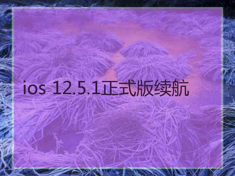 ios 12.5.1正式版续航