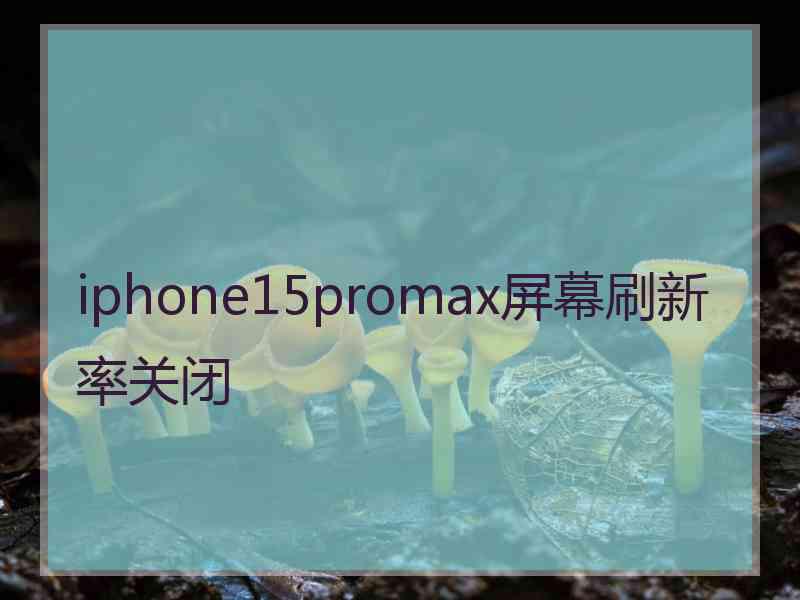 iphone15promax屏幕刷新率关闭