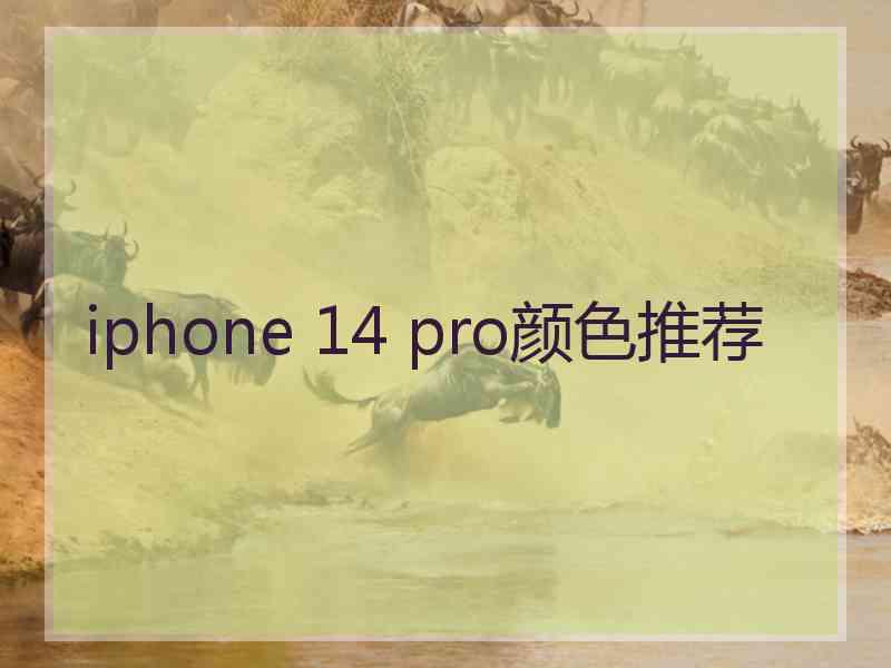 iphone 14 pro颜色推荐