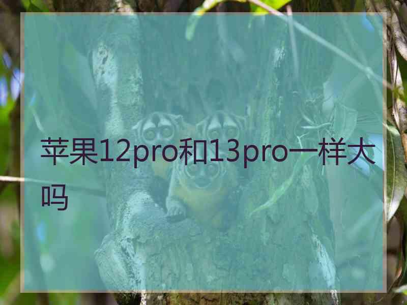 苹果12pro和13pro一样大吗