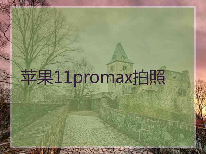 苹果11promax拍照