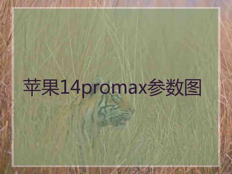 苹果14promax参数图