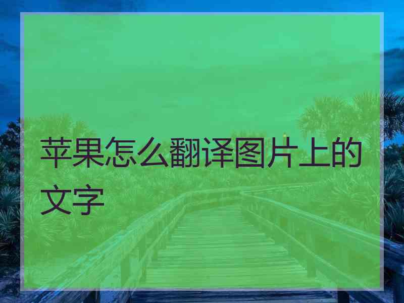 苹果怎么翻译图片上的文字