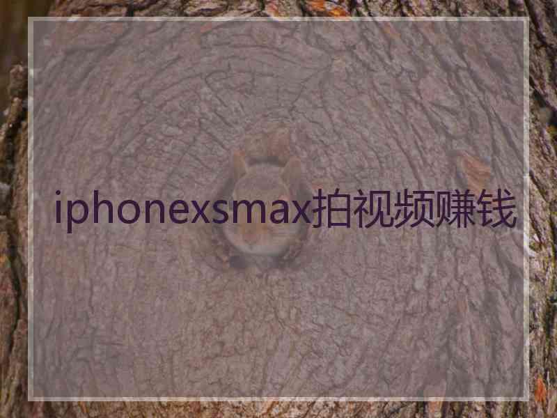 iphonexsmax拍视频赚钱