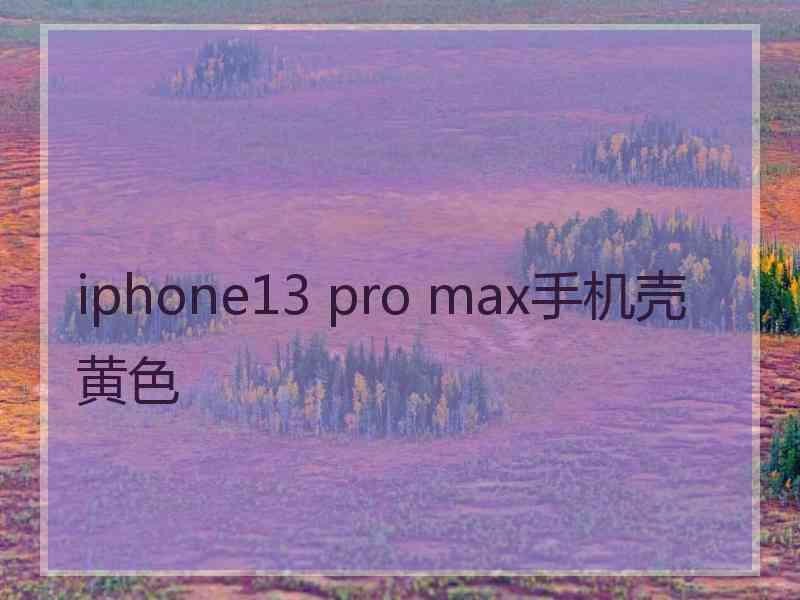 iphone13 pro max手机壳黄色