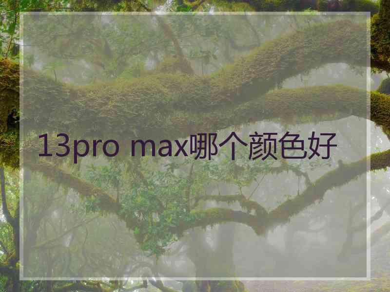 13pro max哪个颜色好