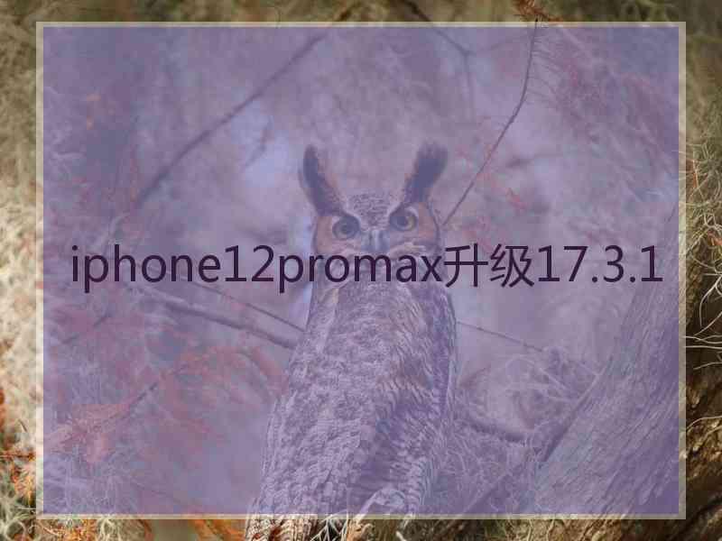 iphone12promax升级17.3.1