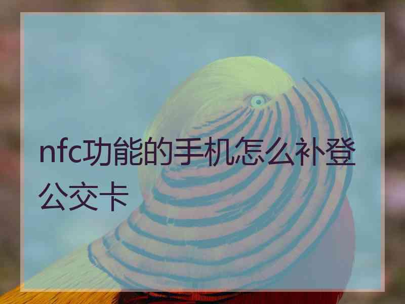 nfc功能的手机怎么补登公交卡