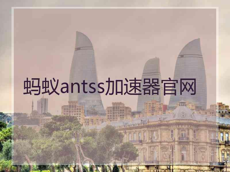 蚂蚁antss加速器官网