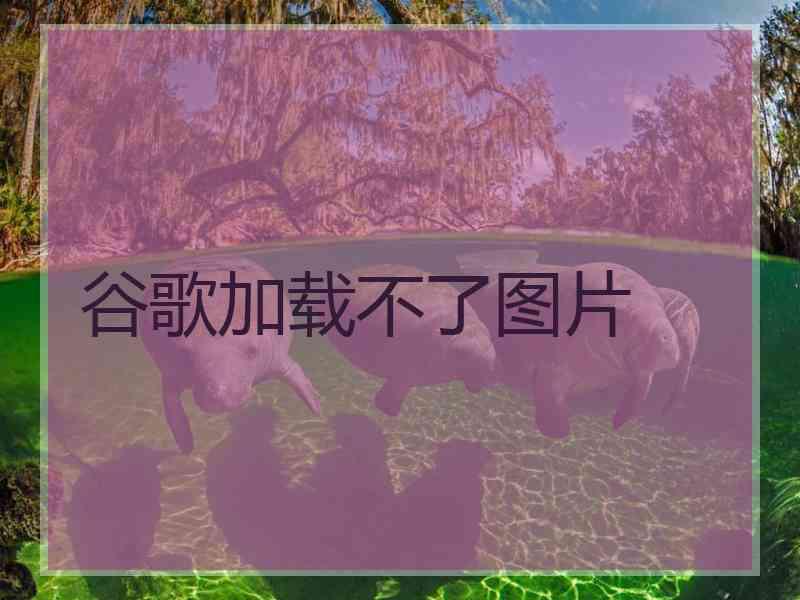 谷歌加载不了图片