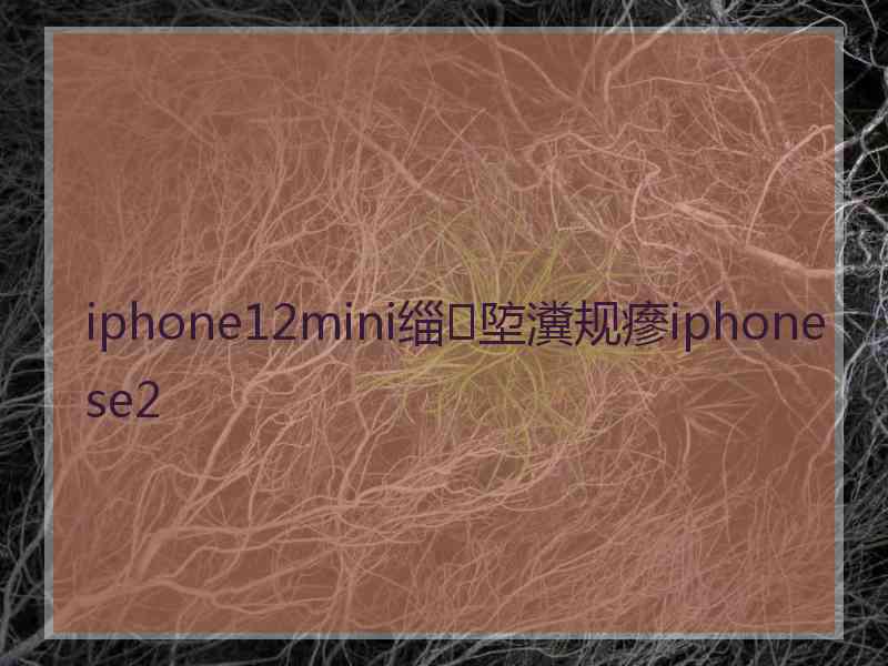 iphone12mini缁埅瀵规瘮iphone se2