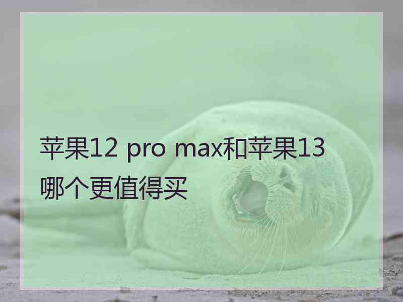 苹果12 pro max和苹果13哪个更值得买