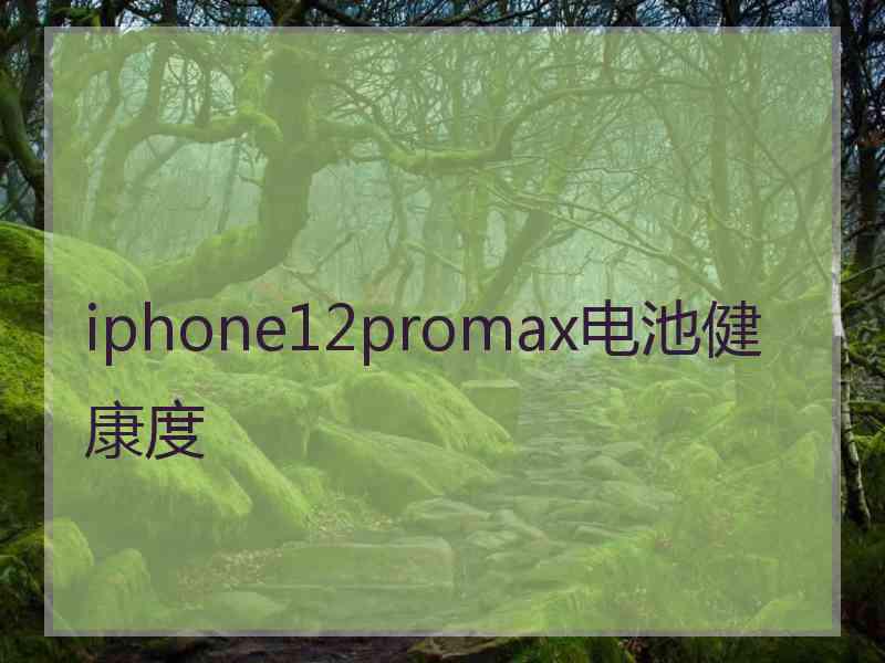 iphone12promax电池健康度