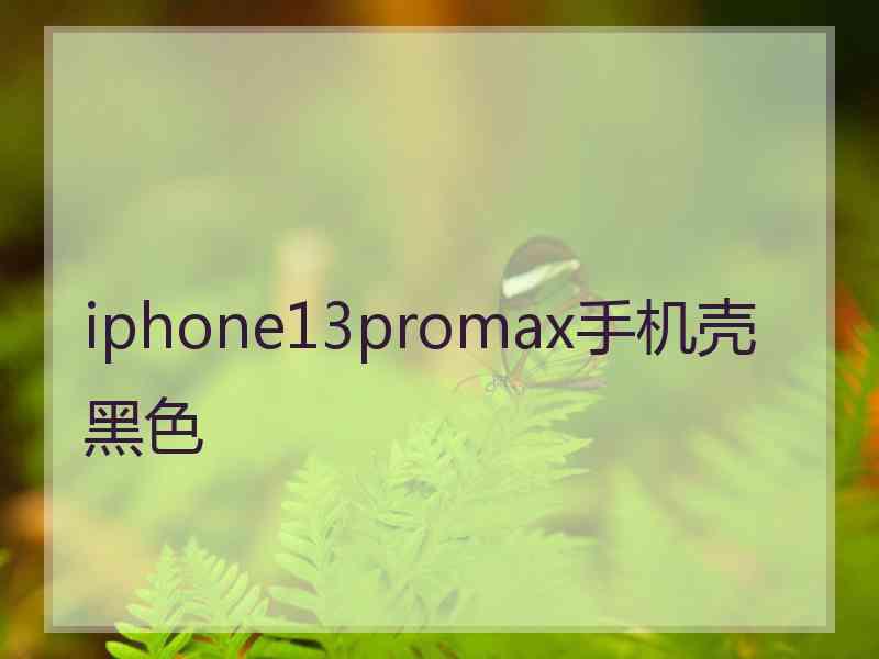 iphone13promax手机壳黑色