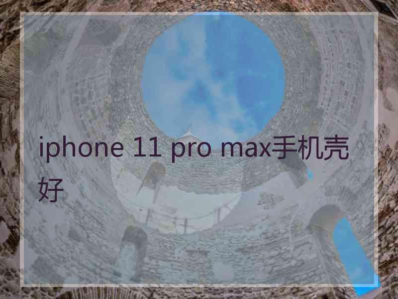 iphone 11 pro max手机壳好