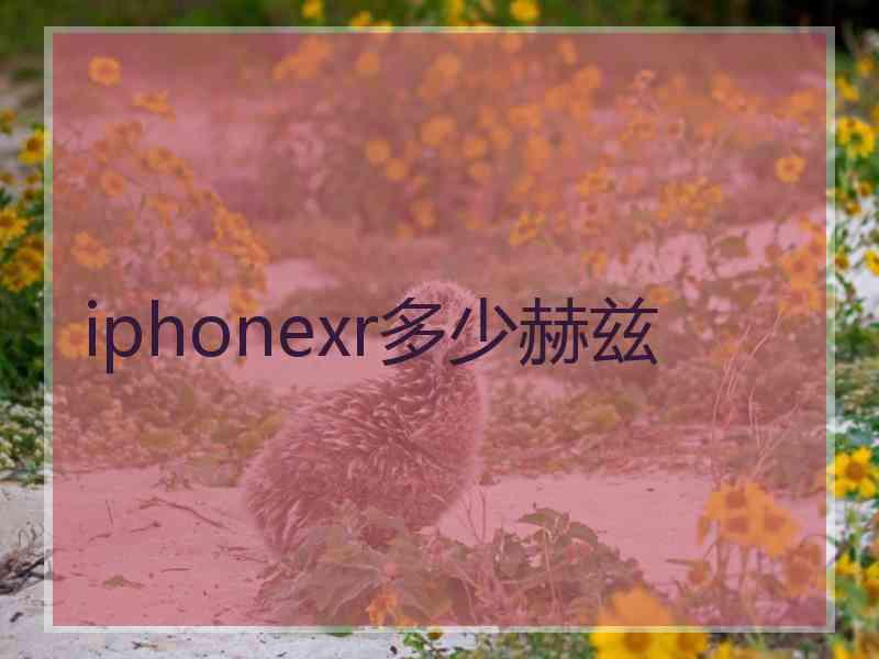 iphonexr多少赫兹